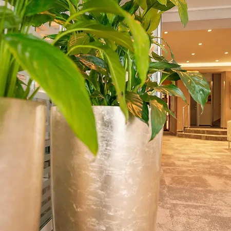 Otel Rova 4*